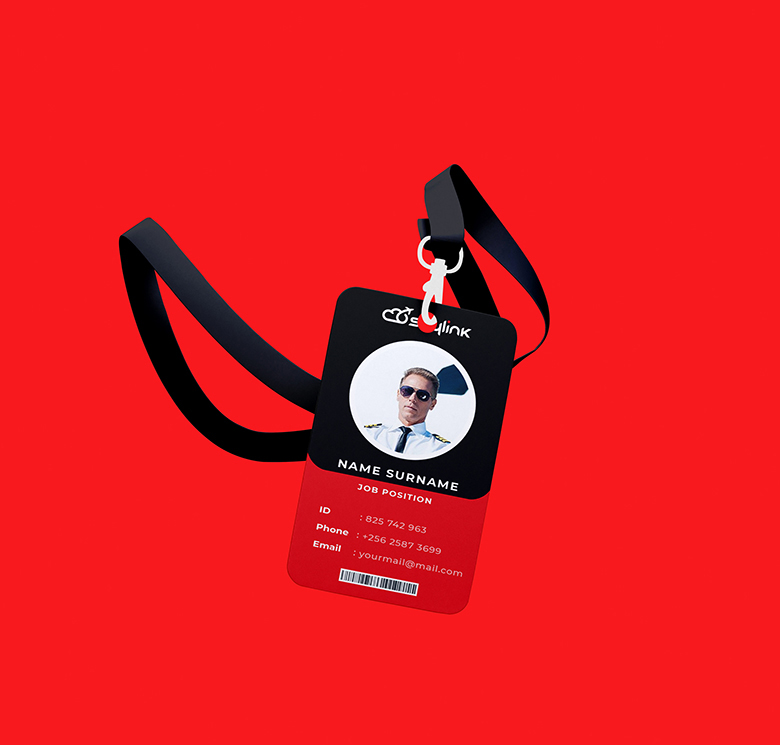 Логотип Sky link